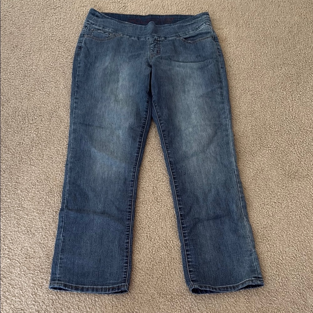 Jag Jeans Blue Straight Leg Denim